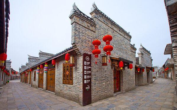 动物帮帮忙保卫家园